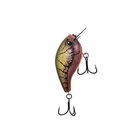 13 Fishing